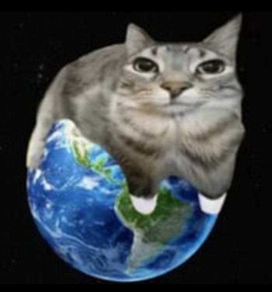 ETLFGX's tweet photo. @Raydium $CTO-Cat Take Over

8gJUTwn9XqbKVHmScBVs6Gx3Vcf3b9C9DQsvGVrmbm12

#OG #SOL #InternationalCatDay https://t.co/821iJEiETc