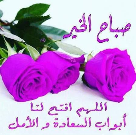 SalemSarry676's tweet photo. @layla20___ https://t.co/nNXAo73kMV