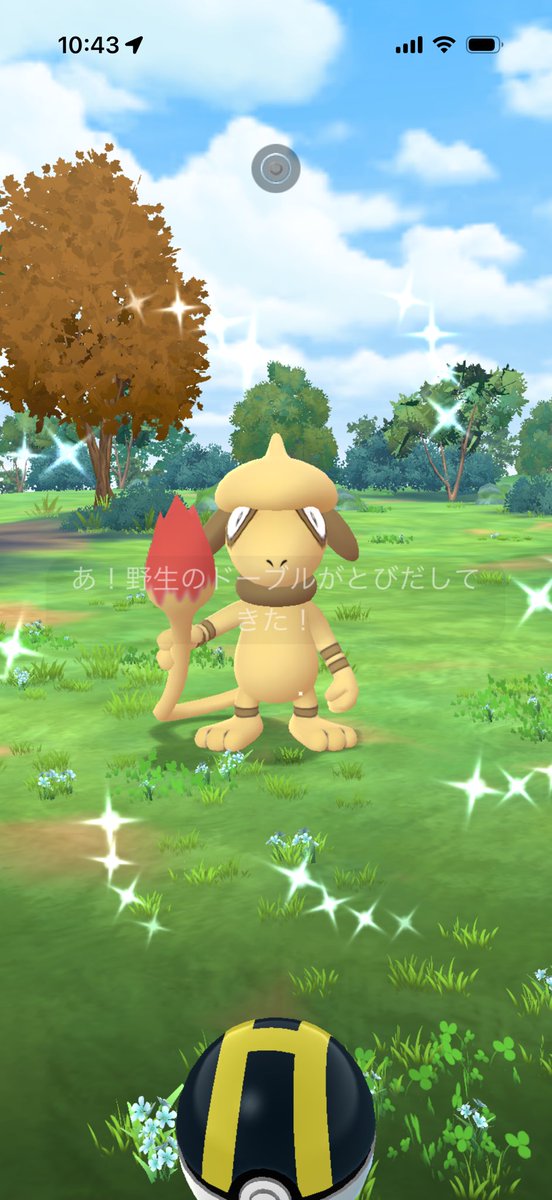 kokkkku_'s tweet photo. わあ！
#ポケモンGO https://t.co/jAgE9RSGWD