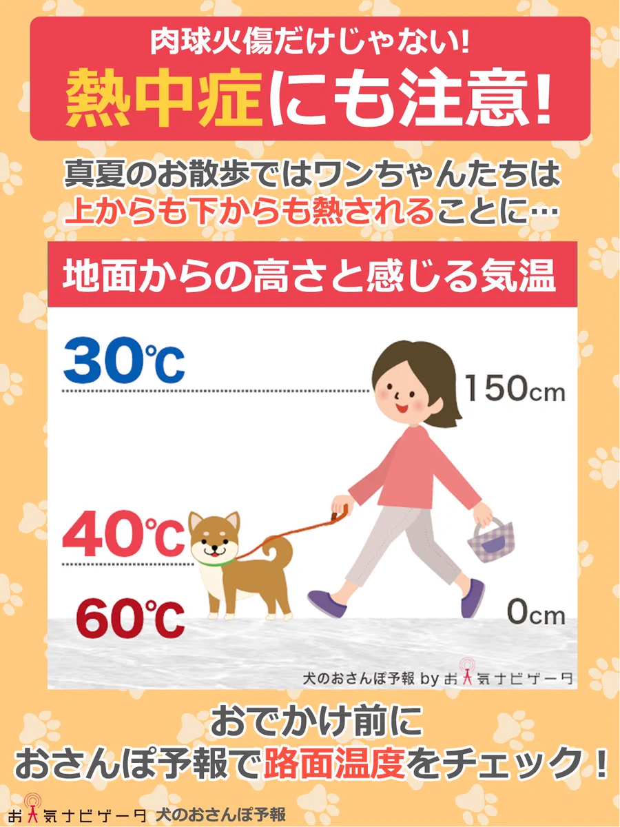 犬 肉 球 熱い