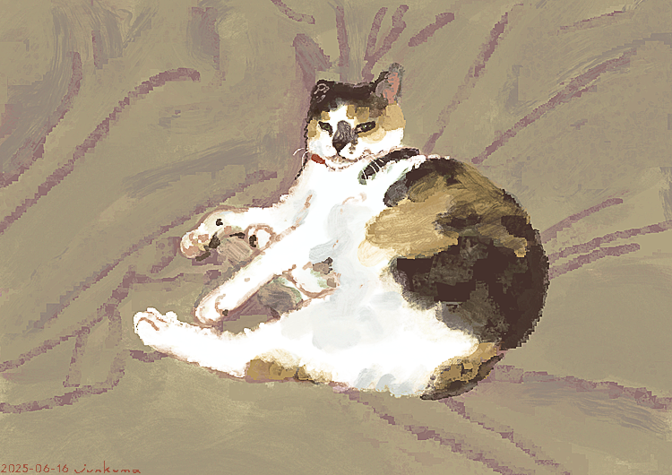 J_KMOR's tweet photo. 猫 https://t.co/SFZxWOsLIW