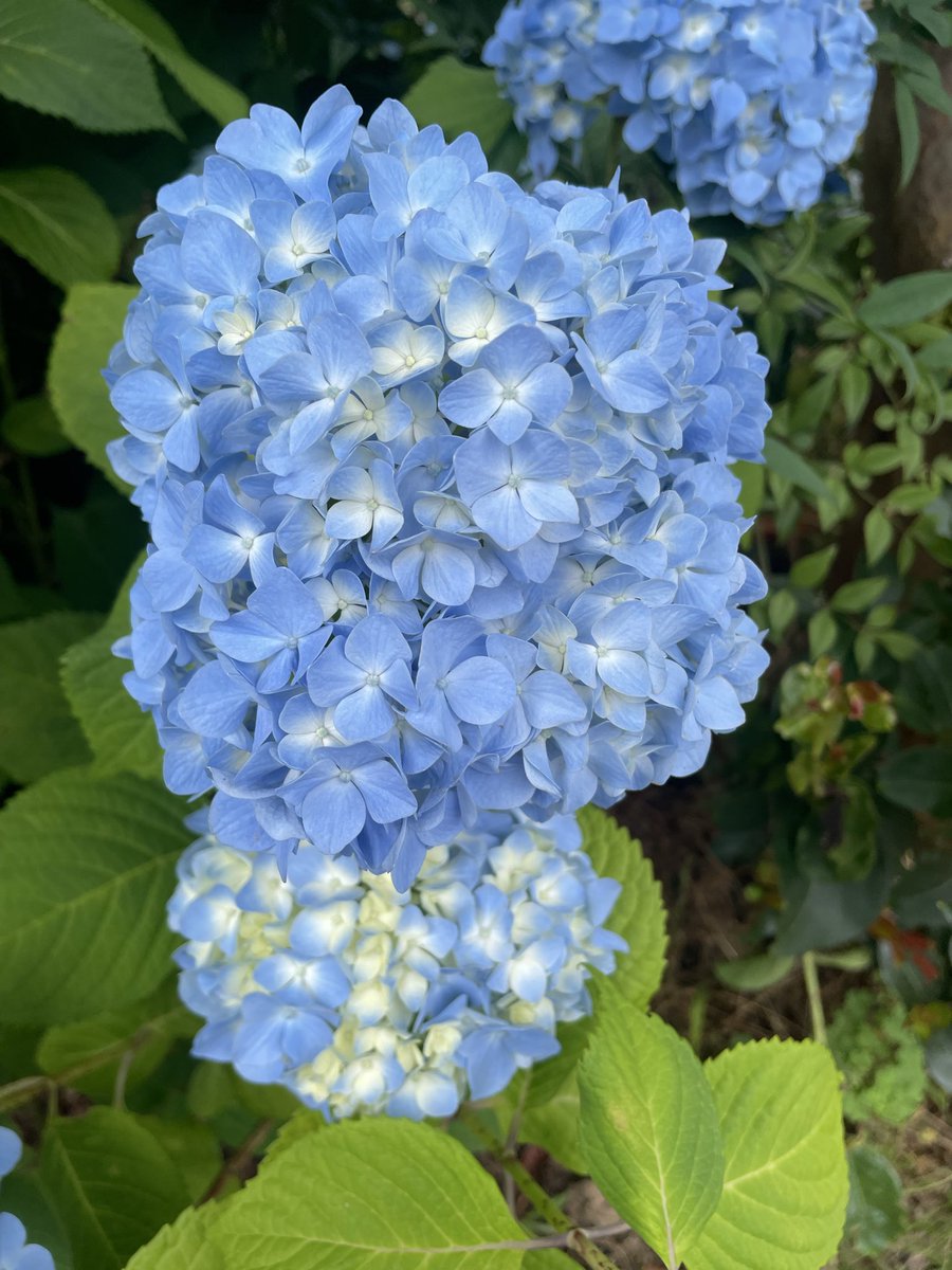 2019Genbakeiei2's tweet photo. 当たり前は深い意味を持つ。当たり前から感謝の心が持てる。感謝を心を持ちながら、生きていくことの大切さ。一人では生きていけない。他者からの励まし、応援があればこそ、感謝も生まれる。当たり前を考える。0808 #当たり前を考える　#感謝の心 https://t.co/qZbvaYpbM7
