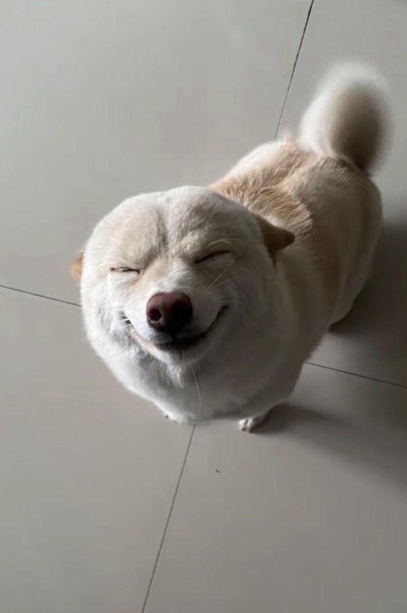 twaniimals's tweet photo. https://t.co/5kJKIWamzN