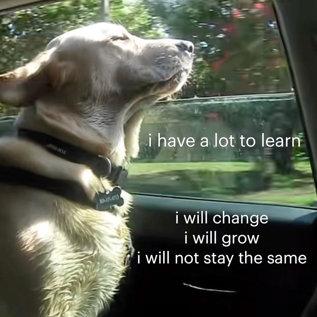 likechildwonder's tweet photo. https://t.co/G9qpjv5klf
