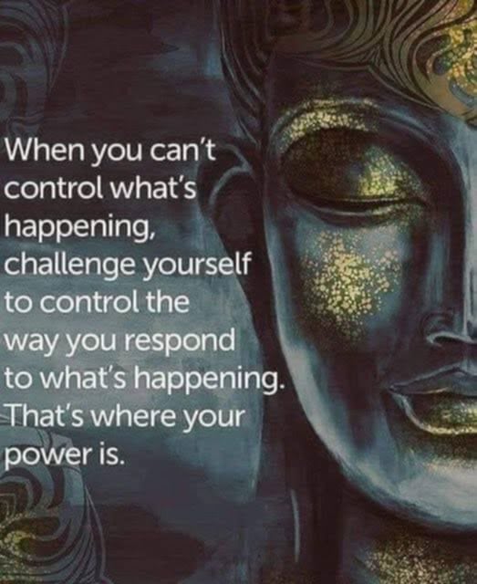 TrainingMindful's tweet photo. https://t.co/8WkRCQ6NB6