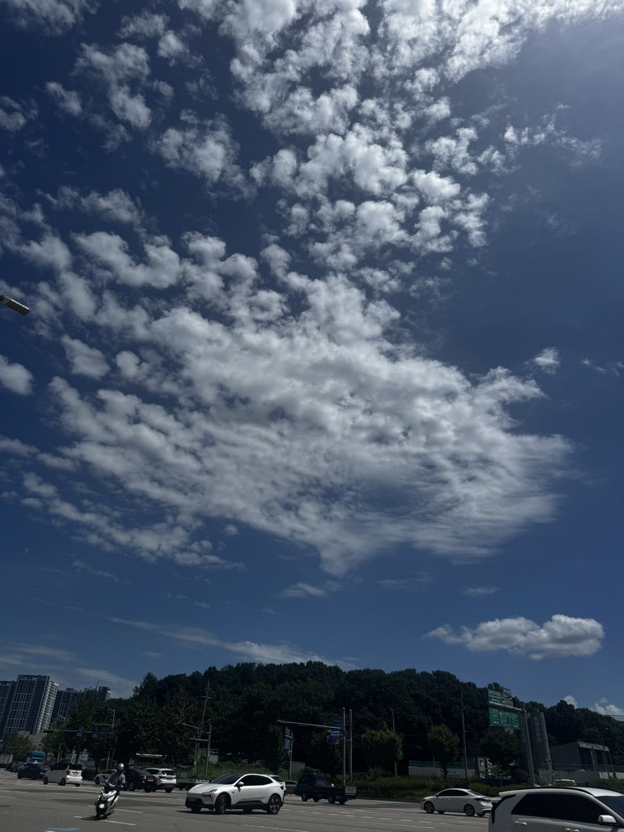 Reiteze's tweet photo. 덥고 뜨겁고 습하고 기운없지만 주말이니 오롯이 괜찮길 https://t.co/Y2JGxsTScY