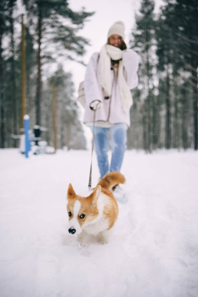 NatashFGarretnt's tweet photo. 森の苔の道🐾🌲 https://t.co/uB6kGzDdTw