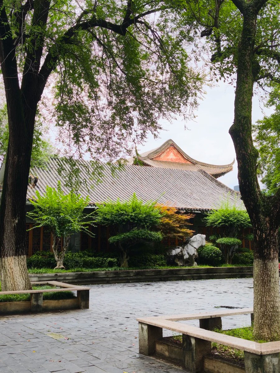 visit_wuhan's tweet photo. 🌻Lotus Lake Park in midsummer — endless green leaves stretch to the horizon, with pink blossoms rising above crystal waters. Pavilions mirror in golden sunset as time pauses in tranquil beauty.😇
#Wuhan #LotusLake #SummerLotus #SunsetViews #LakePark https://t.co/XJFQMAFMaU