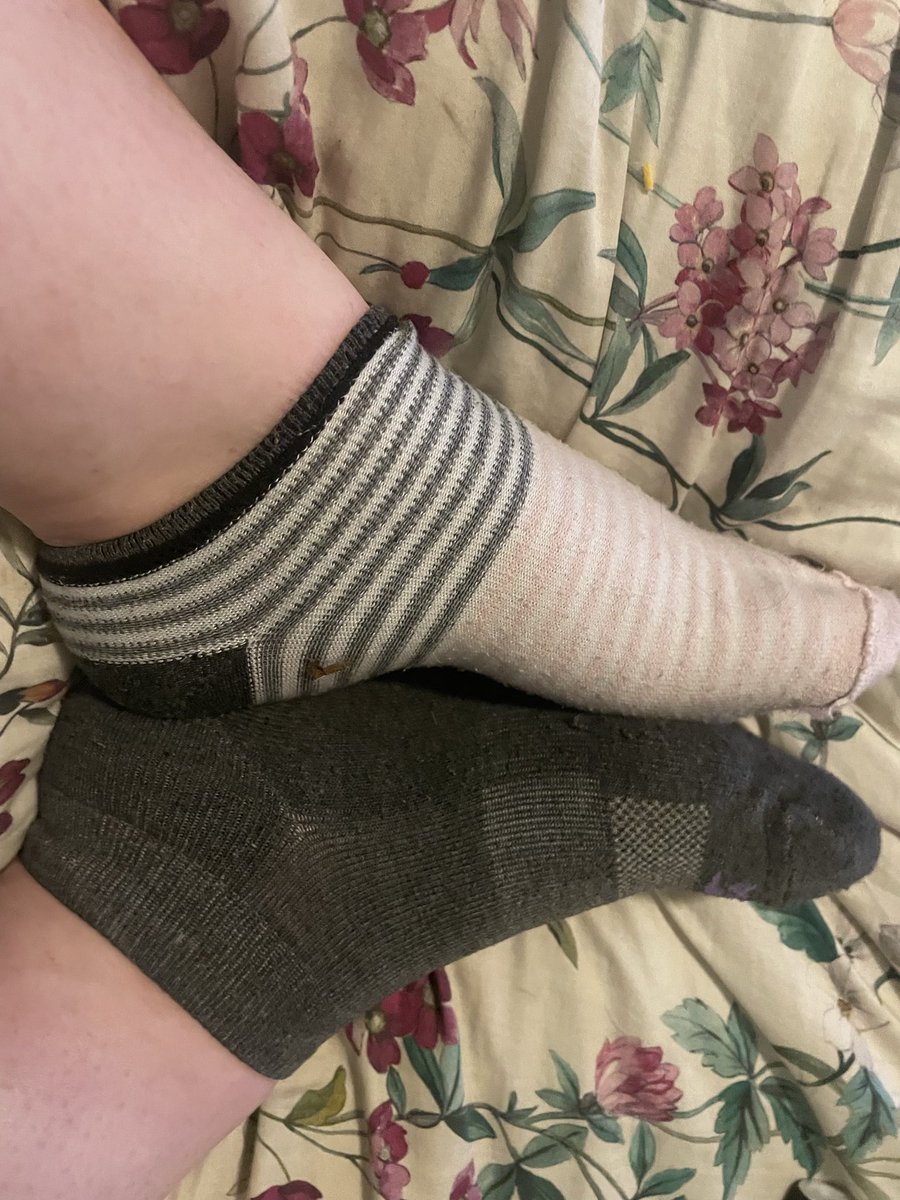 Chubbybunnis's tweet photo. Socks matching nope! #sellingcontent https://t.co/dSfXBrqHxH