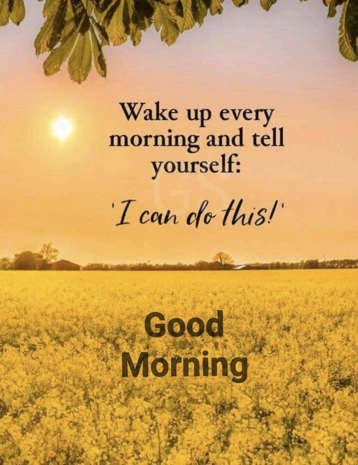 lotter_chr47028's tweet photo. Good morning.... https://t.co/T8DRHoFcSK