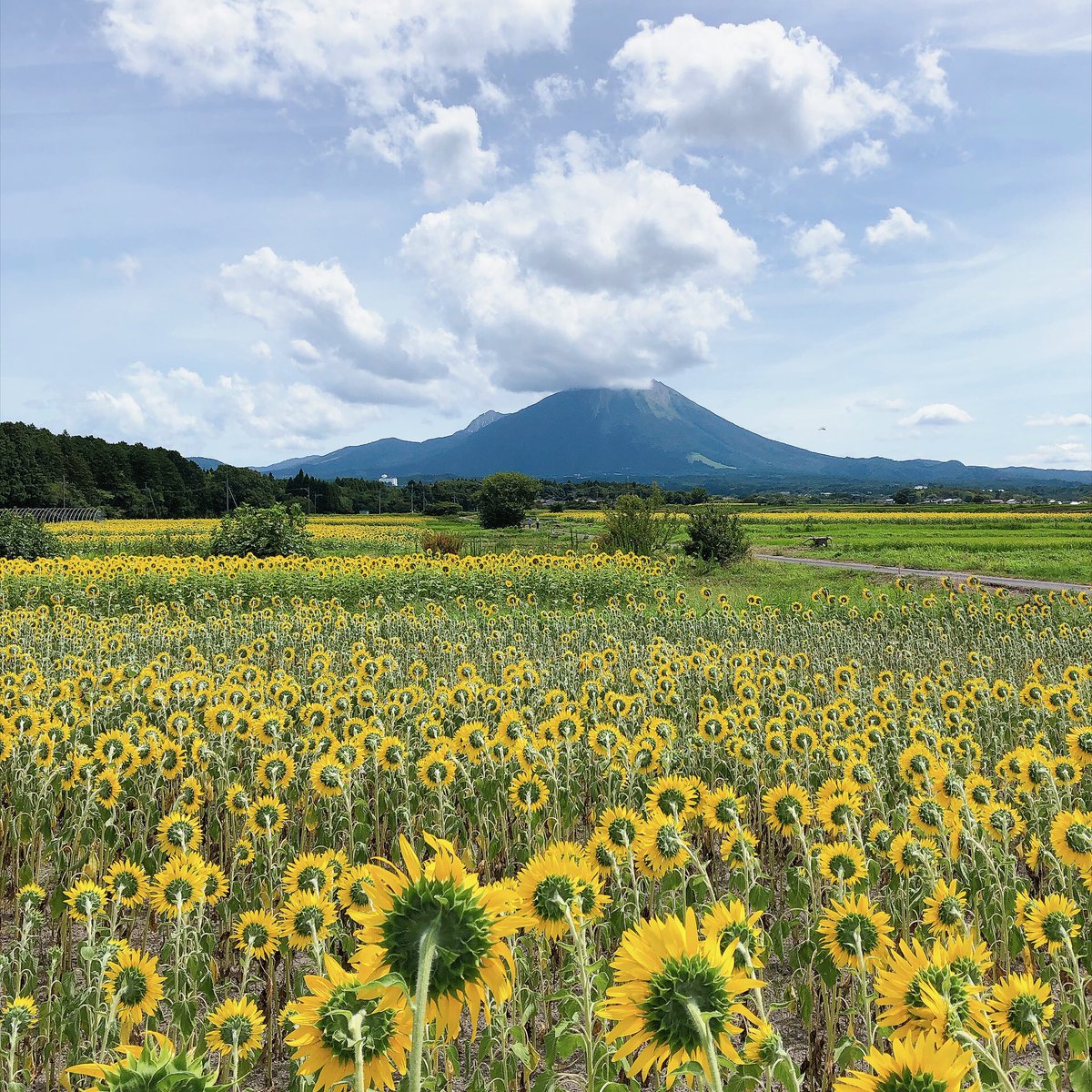 porepore00's tweet photo. 昨日、頃安監督が載せてた写真がいいなと思って、自分もふらりと来てみた。
ちょっと雲がかかってるけど。
まあ中くらいの夏休みかな、。 https://t.co/nbIO0SY6UK