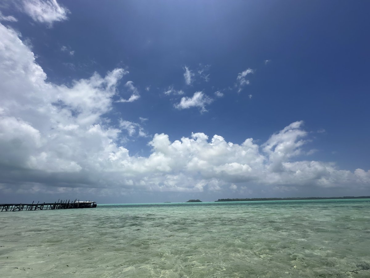 Koji_Oyama's tweet photo. 【備忘録】
#CarpIsland でBBQランチ

#Palau #IMPAC #SRItour https://t.co/1IkRjKOwle