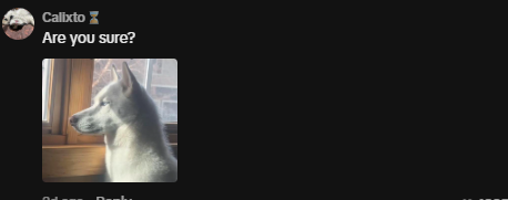 anaaclars's tweet photo. This mogdog is blowing up, everyone is memeing him

He literally started a whole mogging trend between animals in the comments

https://t.co/h0NIBZV3G5 https://t.co/P40fM159m9