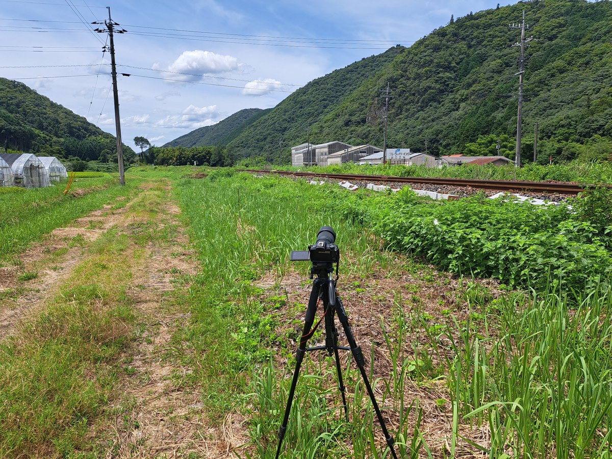 sou_25210's tweet photo. だいぶおひさしなところ https://t.co/c3If6JUjJY