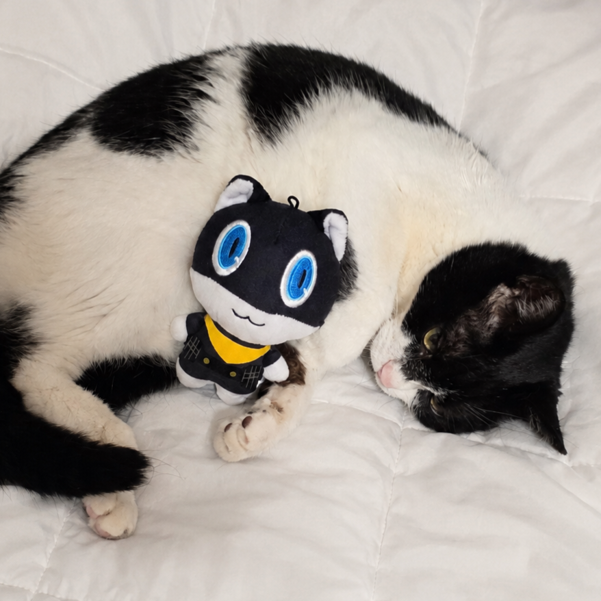 Atlus_korea's tweet photo. 모르가나와 고양이...
긴 대화 끝에 사이가 좋아진 두 고양이(?)의 모습입니다.
⠀
#세계고양이의날 #페르소나 https://t.co/sm8GSXgPxs
