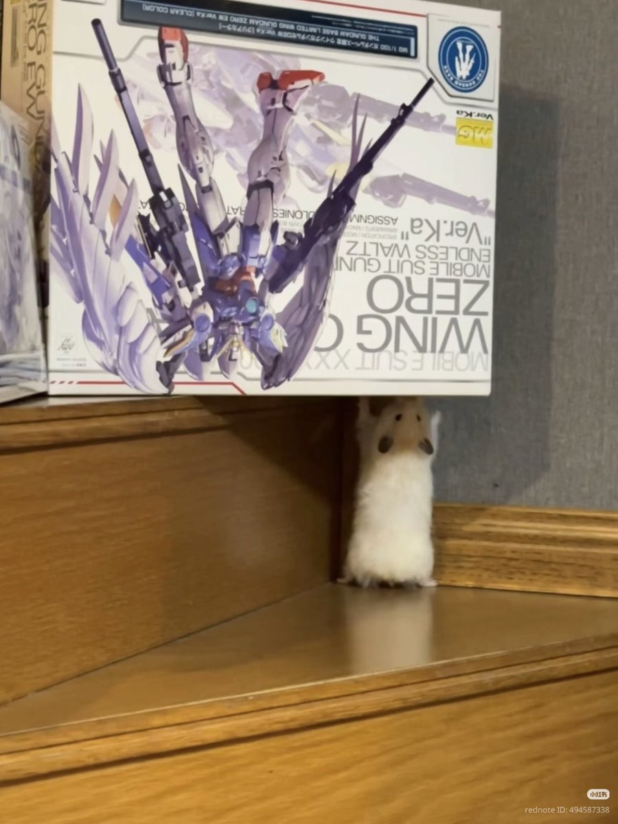 TweetsOfHamster's tweet photo. 😩 https://t.co/rp3eZ3ED4o