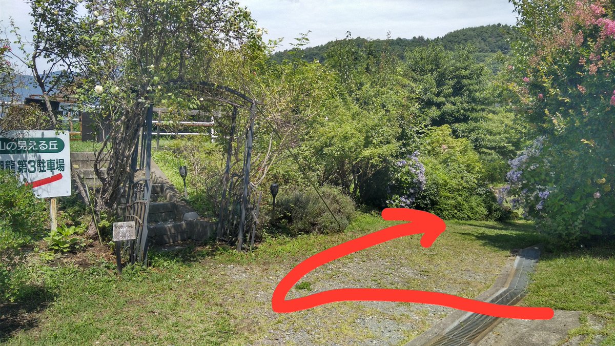 h_koryu's tweet photo. 【ひっそり桃汁弾幕】8/8～8/16

今年の３月に電撃引退したご当地Vtuber宝灯桃汁ちゃん最後のバカ騒ぎ祭りの弾幕を8/9『桃市民再会の日』に合わせてお盆の間飾ります🏮

場所はホテル湖龍芝生広場。第２駐車場の右奥から坂を降りた先にて掲示します。
桃市民、再会の場や記念に訪れてください🍑
もちろん当館の漫画カフェや日帰り温泉もご利用くださいませ📖♨️

※掲示している梯子や弾幕にお手を触れないようお願いいたします🙇
お盆期間ですのでホテル前の駐車場、第２駐車場には車を停めないでください。駐車する際はこの芝生広場にお願いいたします🙇

#桃市民再会の日