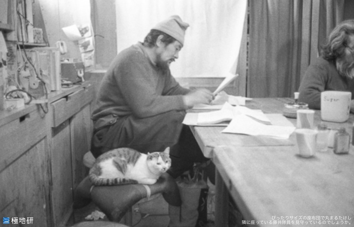 kyokuchiken's tweet photo. 日本で唯一南極で越冬したオスの三毛猫です。たけしについては極地研アーカイブ室のページもご覧ください。
https://t.co/uEkjGu1678 https://t.co/mAHeBLr4Zr