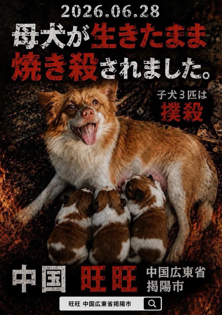 yuta_ty2's tweet photo. 世界が怒りに震えたこの事件をあなたはご存知だろうか？

これは、旺旺という母犬とその子犬達が中国の少年に虐殺された事件です。

#掲陽未成年者犬虐待事件
#動物虐待ビジネス撲滅 https://t.co/pmmUBAbF6t