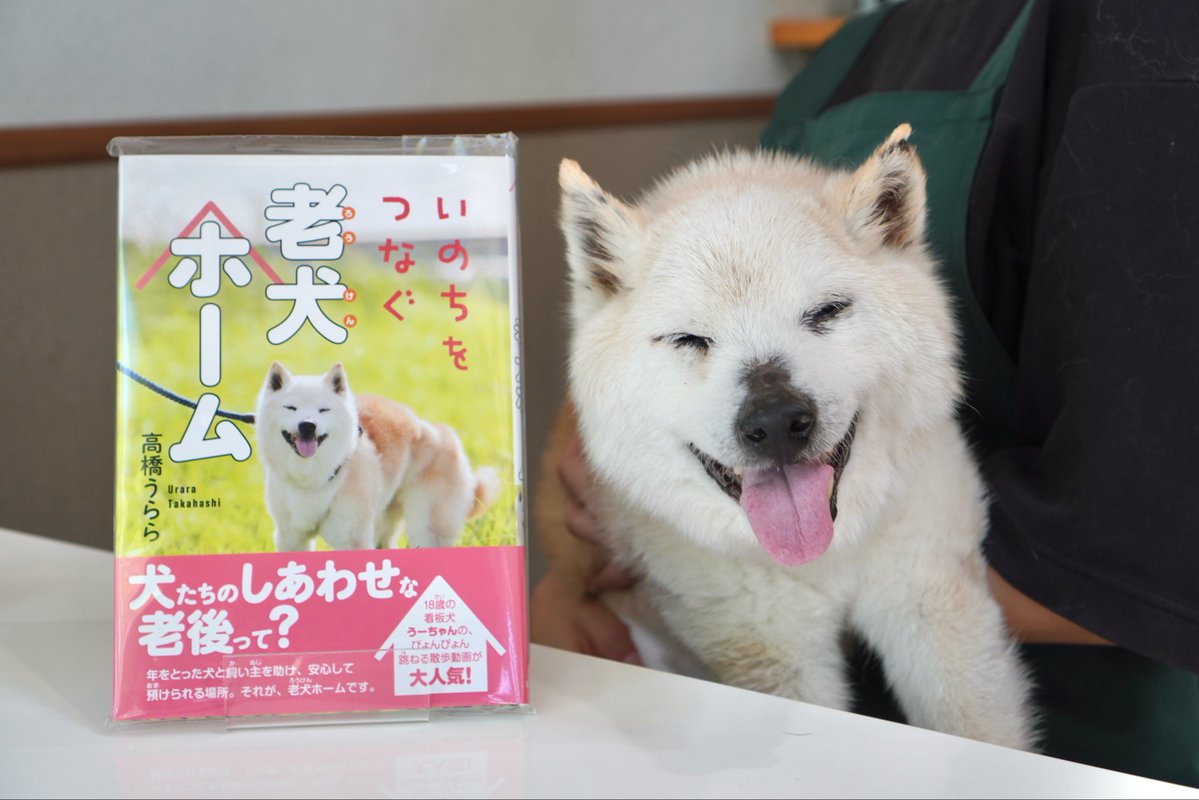 yuruyaka_happy's tweet photo. 「いのちをつなぐ老犬ホーム」がいよいよ岩崎書店様より8月20日に発売です！犬好きさん必見のノンフィクション読み物となっております。小学生向けですので、ご家族揃ってお楽しみいただけます。ご予約がまだの方はこの機会に是非☺️
https://t.co/nV1Zs6C6wH https://t.co/OdKvAopLoE