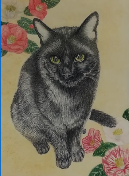 haloumaman's tweet photo. #世界猫の日 という事で、ヌコさまの絵を投稿させて頂きます🐱
🐱とか🐶とか🦜の絵を、主に色鉛筆で描かせて頂いています✍️
B5 判の紙にお描きして２５００円、送料４３０円
チャットのほうまでご依頼お願い致します🙇 https://t.co/z7LbWMm1zb
