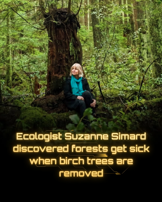 Rainmaker1973 tweet picture