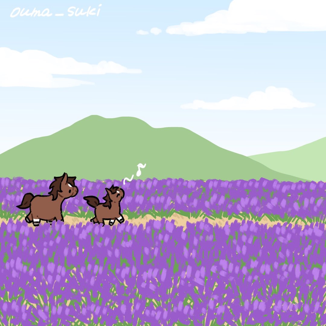 ouma_suki's tweet photo. ラベンダー畑と親子🪻
(lavender) https://t.co/Kg966D8RQZ