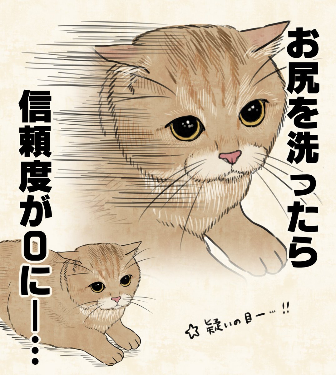 kuiruri's tweet photo. 笑いました、かわいい… https://t.co/xVxlCdHnCn