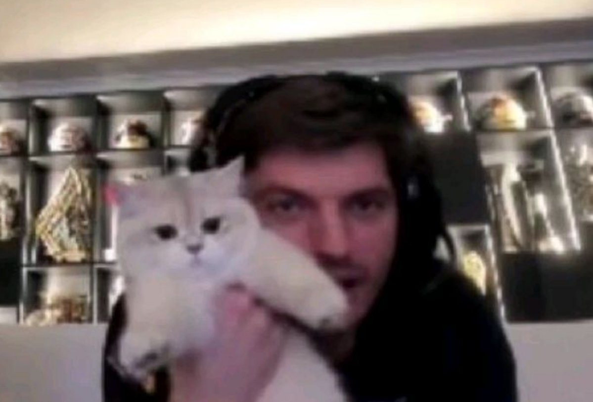 mxverschaos's tweet photo. happy cat day https://t.co/rN7A2yVasl