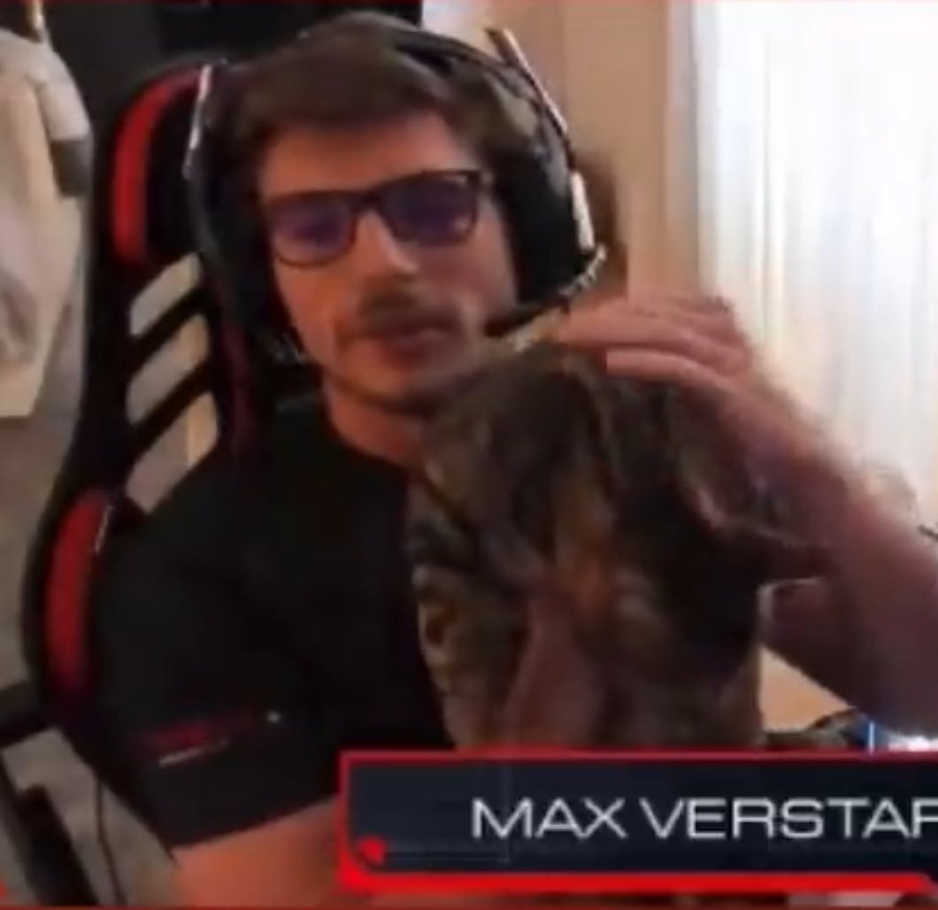 mxverschaos's tweet photo. happy cat day https://t.co/rN7A2yVasl