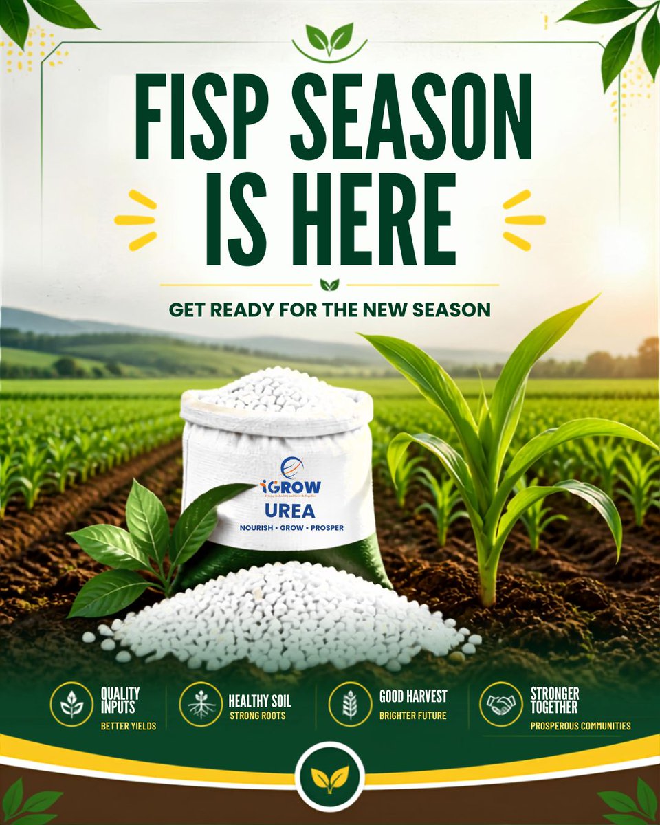 IGROW___'s tweet photo. 🌱 FISP SEASON IS HERE!

Empowering farmers with reliable fertilizer solutions for a productive farming season. Choose iGROW Resources — your trusted partner for agricultural inputs.

#iGROW #FISP #Fertilizer https://t.co/vHYLMOq2Bc
