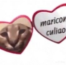 _chwrryavl's tweet photo. @ruvirozivebe @s1mmm_keydan @CvCilli @Miilkimi La xenofobia está fuerte eh, el inglés es el idioma más fácil de aprender, es básico https://t.co/g627tvMjEI