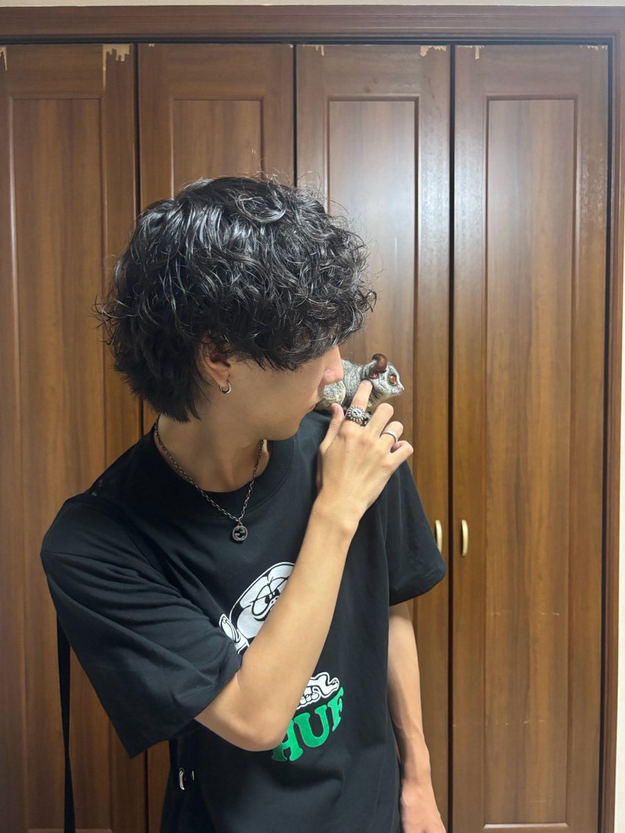 Lettuce_14's tweet photo. リアルさるどん https://t.co/3L59D49DtV