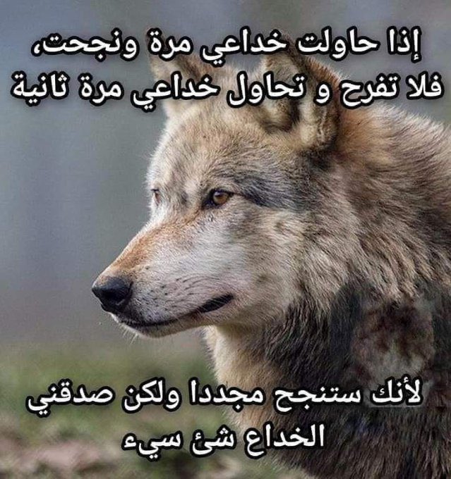 UnfinHealing's tweet photo. https://t.co/d82IOkLeOd