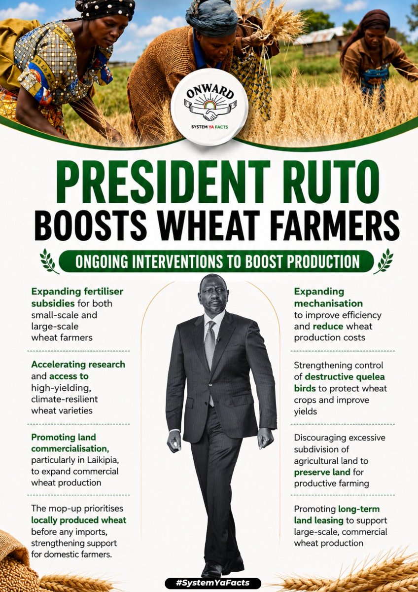 ivyWars6's tweet photo. President Ruto’s government has raised the wheat price to KSh 5,100 per 90kg bag, benefiting over 2,000 farmers. The move aims to boost farmers’ incomes, support local wheat production and reduce reliance on imports.
Pesa Mfukoni
White Gold
#WheatFarmingReforms https://t.co/mOIbjGsmAb
