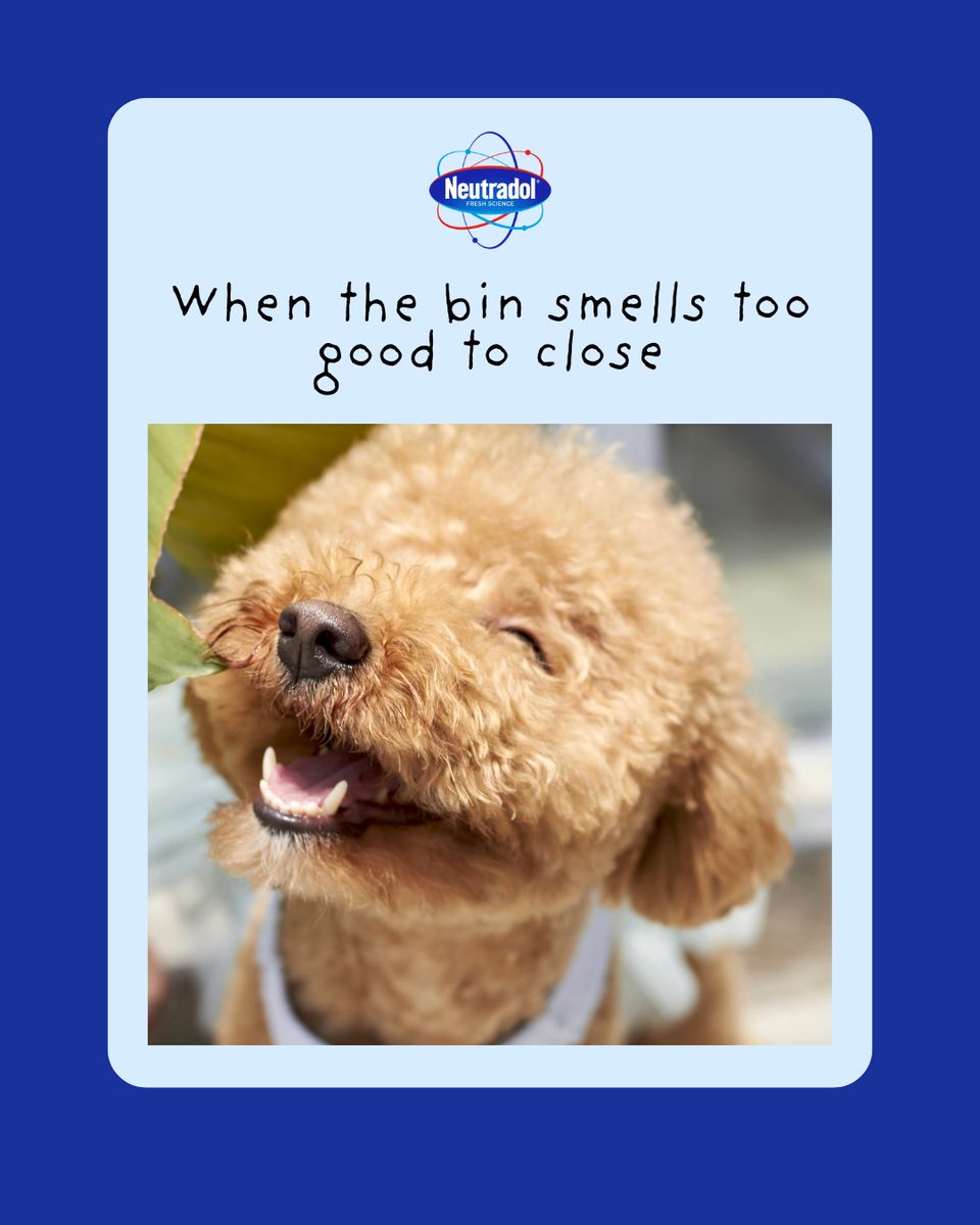NeutradolFresh's tweet photo. Warning: Bin Odour Destroyer may cause you to open your bin just to sniff it🙈 

Available on Amazon - link in our bio🛒

#NoMoreBinSmells #Neutradol #BinOdour https://t.co/ebAVWighya