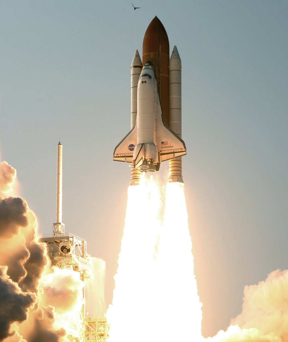 billmeco's tweet photo. OTD 19 years ago #spaceshuttle #Endeavour #STS118 launched to the #ISS from #Pad39A #ov105 #nasa #ksc https://t.co/pFKF7DWteS
