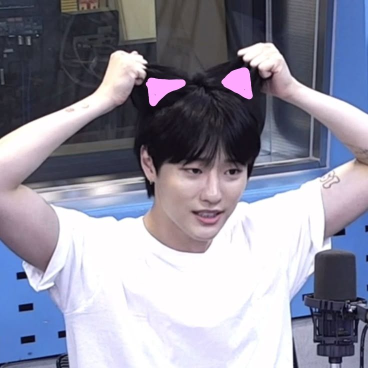 oneitniamooze's tweet photo. 오늘은 세계 고양이의 날 😻 https://t.co/9osGI2t7nm