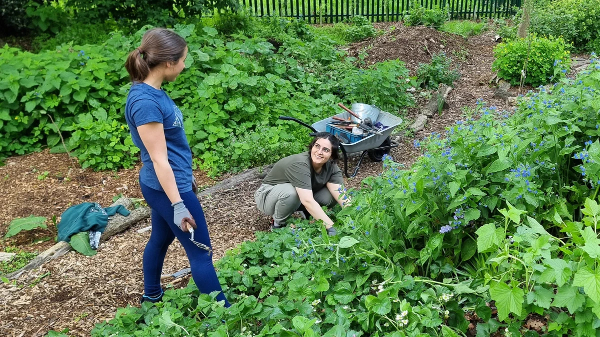 Two residents work on a garden plot