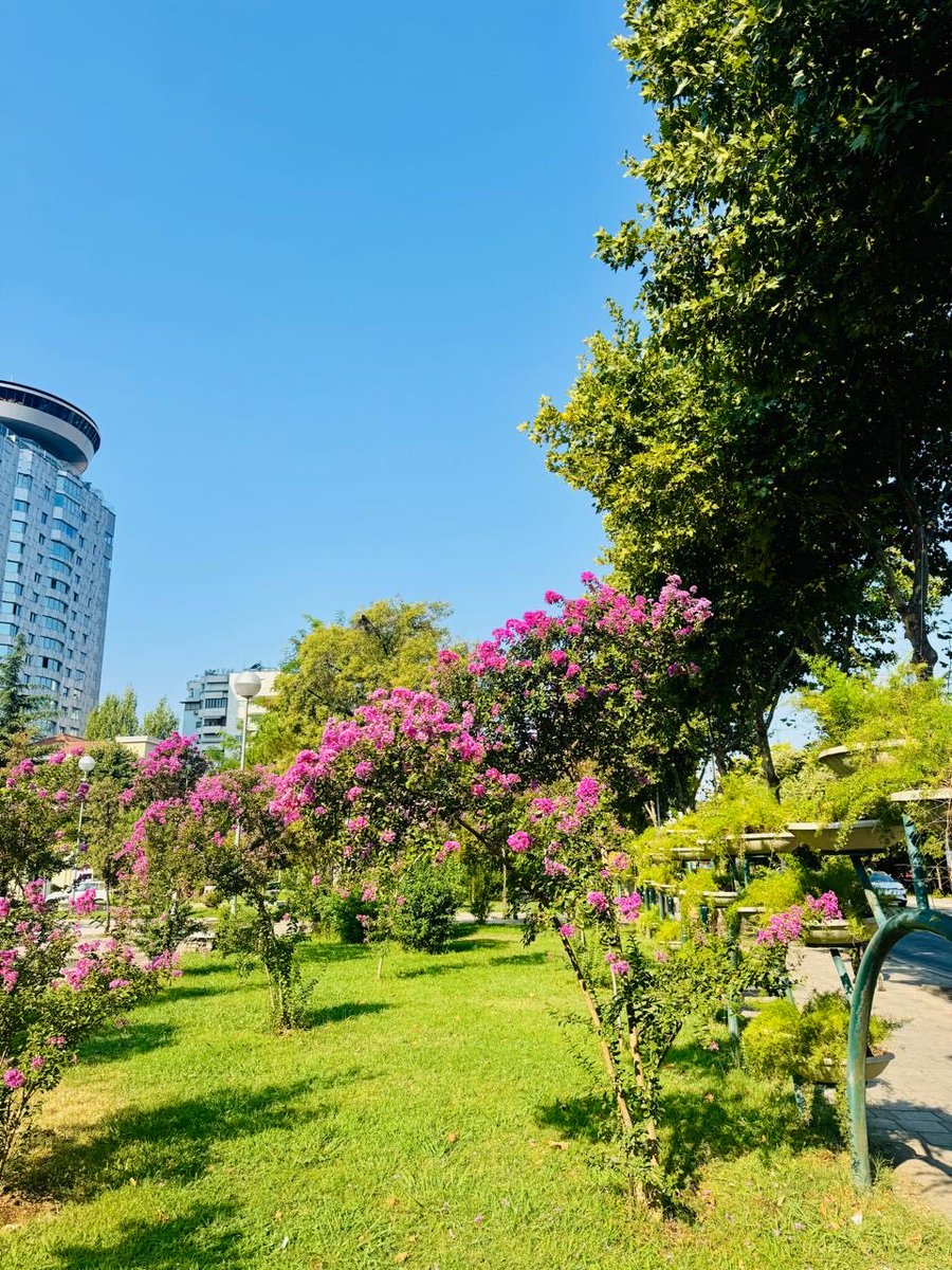 punetorettirane's tweet photo. #MirëmbajmëGjelbërimin 🌿🧹✂️💧🌳

📍 Lulishtja “Vëllezërit Frashëri”

👷👷‍♀️ Ekipet e DPPGJ kujdesen çdo ditë për mirëmbajtjen, pastrimin dhe vaditjen e hapësirave të gjelbra, për t’i mbajtur ato të freskëta dhe të bukura. 🌿✨

#DrejtoriaePërgjithshmeePastrimGjelbërimit https://t.co/yobdwujfSV