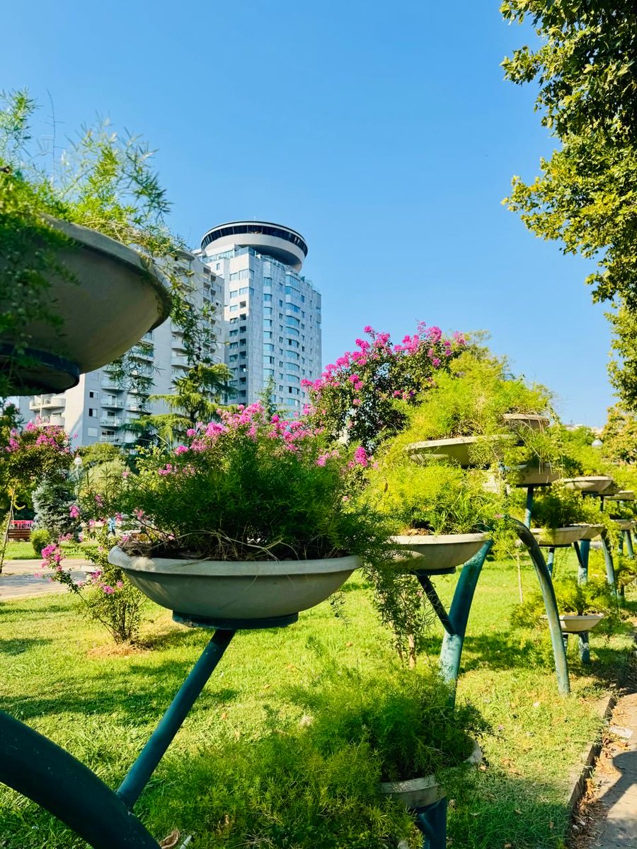 punetorettirane's tweet photo. #MirëmbajmëGjelbërimin 🌿🧹✂️💧🌳

📍 Lulishtja “Vëllezërit Frashëri”

👷👷‍♀️ Ekipet e DPPGJ kujdesen çdo ditë për mirëmbajtjen, pastrimin dhe vaditjen e hapësirave të gjelbra, për t’i mbajtur ato të freskëta dhe të bukura. 🌿✨

#DrejtoriaePërgjithshmeePastrimGjelbërimit https://t.co/yobdwujfSV