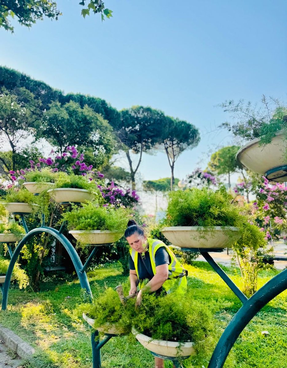 punetorettirane's tweet photo. #MirëmbajmëGjelbërimin 🌿🧹✂️💧🌳

📍 Lulishtja “Vëllezërit Frashëri”

👷👷‍♀️ Ekipet e DPPGJ kujdesen çdo ditë për mirëmbajtjen, pastrimin dhe vaditjen e hapësirave të gjelbra, për t’i mbajtur ato të freskëta dhe të bukura. 🌿✨

#DrejtoriaePërgjithshmeePastrimGjelbërimit https://t.co/yobdwujfSV
