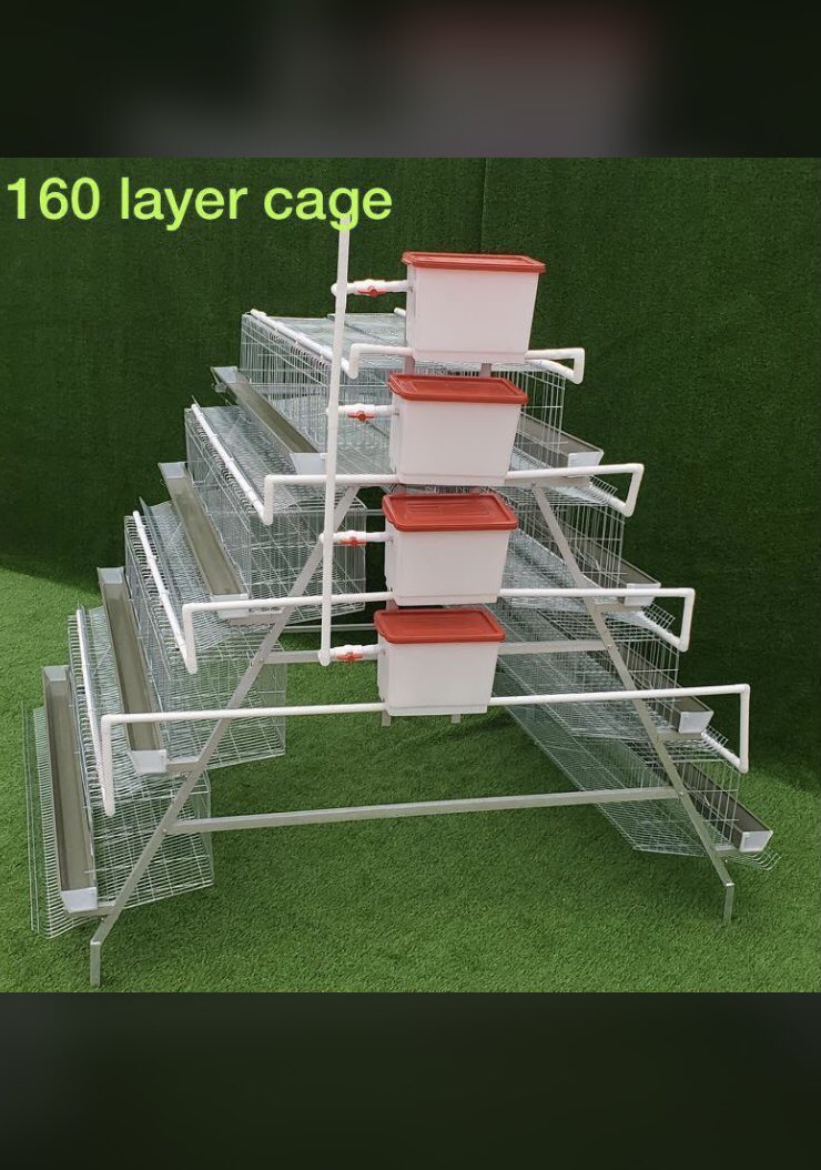 SNMachines99's tweet photo. Layer cages a accessories available in stock🔥

Chicken cages available in stock🔥
96 chicken N$6000
128 chicken N$7000
160 chicken N$8000

Cage accessories N$20-N$30
Cage buckets N$300
0812104878

Please note:All layer cages come with one bucket only, but you can buy your extra! https://t.co/WPN9sTP3vs