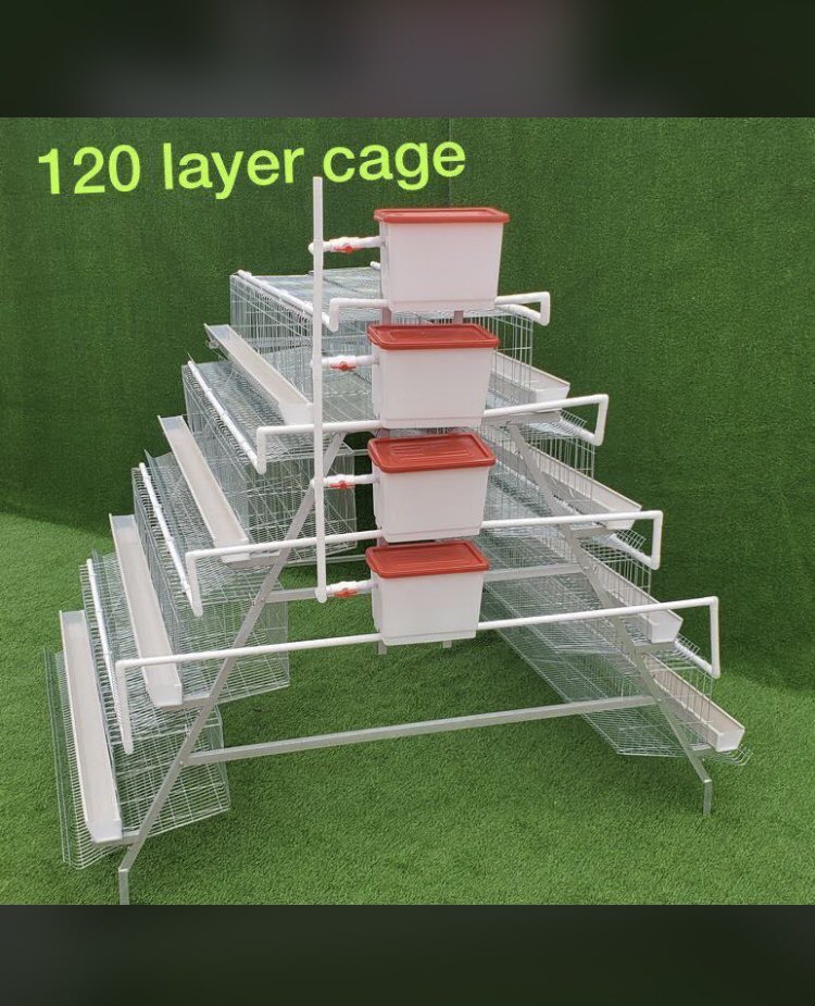 SNMachines99's tweet photo. Layer cages a accessories available in stock🔥

Chicken cages available in stock🔥
96 chicken N$6000
128 chicken N$7000
160 chicken N$8000

Cage accessories N$20-N$30
Cage buckets N$300
0812104878

Please note:All layer cages come with one bucket only, but you can buy your extra! https://t.co/WPN9sTP3vs