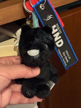 himuro_1007_'s tweet photo. パンサーくんのヒゲがって思ったら
お迎えした時と同じだった😊

皆さんのパンサーくんを見てみたら
ヒゲの向きが違うことに今ごろだけど
気づきました🫢

何種類かあるのかな⁉️袋に入って
皆んなの元に届く時にヒゲの向きが
変わったのかな⁉️

いろんな表情に見えて可愛い❤️

#氷室京介 
#KINGSWING https://t.co/Fi4RLCgXbD