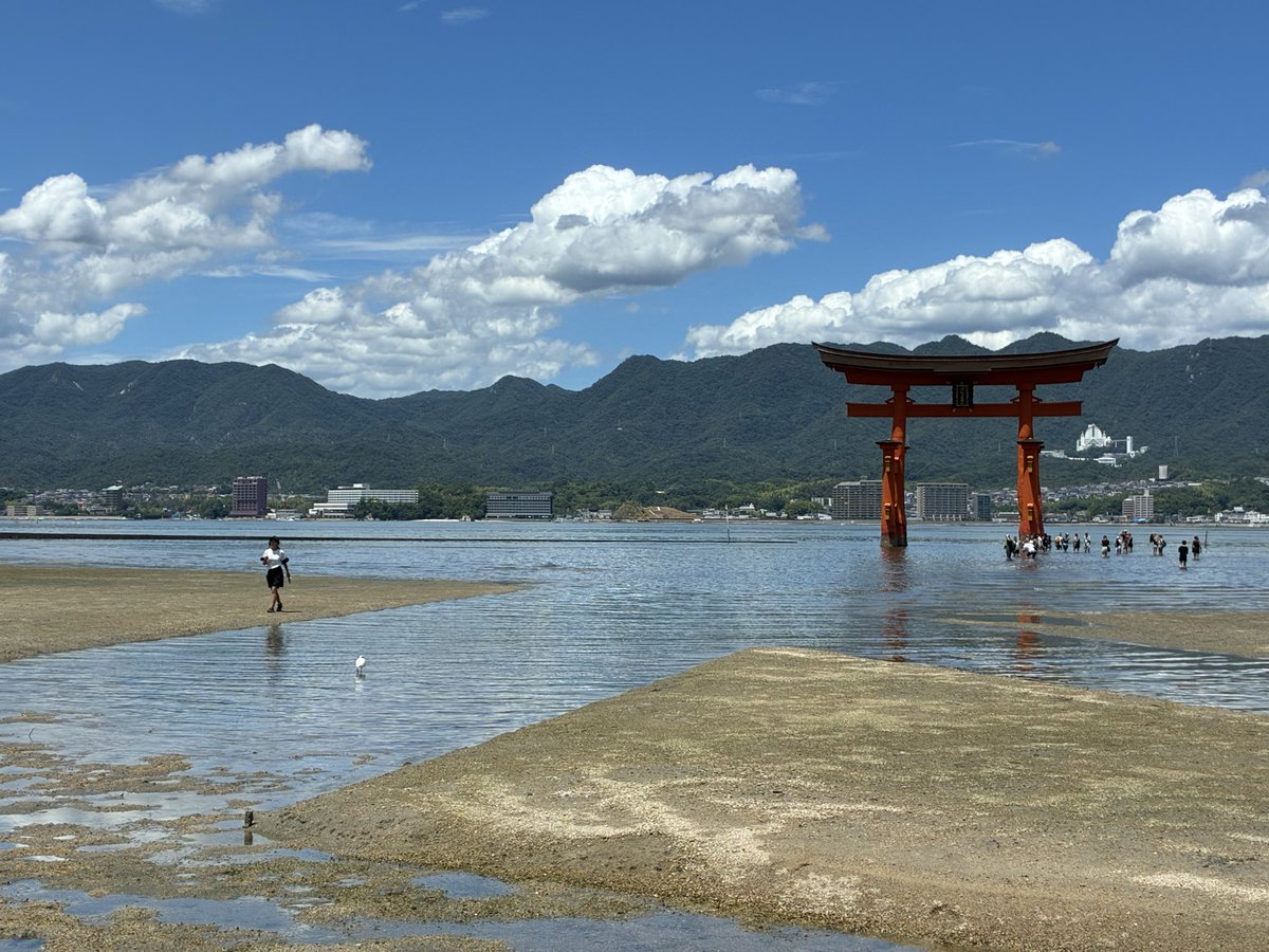kotorip09's tweet photo. せっかくここまできたので、周防大島を出て広島へ。宮島の厳島神社に行ってきました⛩️
実際に見る大鳥居はやっぱり迫力満点！
満潮ではなかったけど、それでも感動✨
来れて良かった☺️
ただ、暑すぎて全身ビショビショに💦
フラフラと吸い寄せられるようにかき氷屋さんへ…生き返りました https://t.co/htSe38rR1n