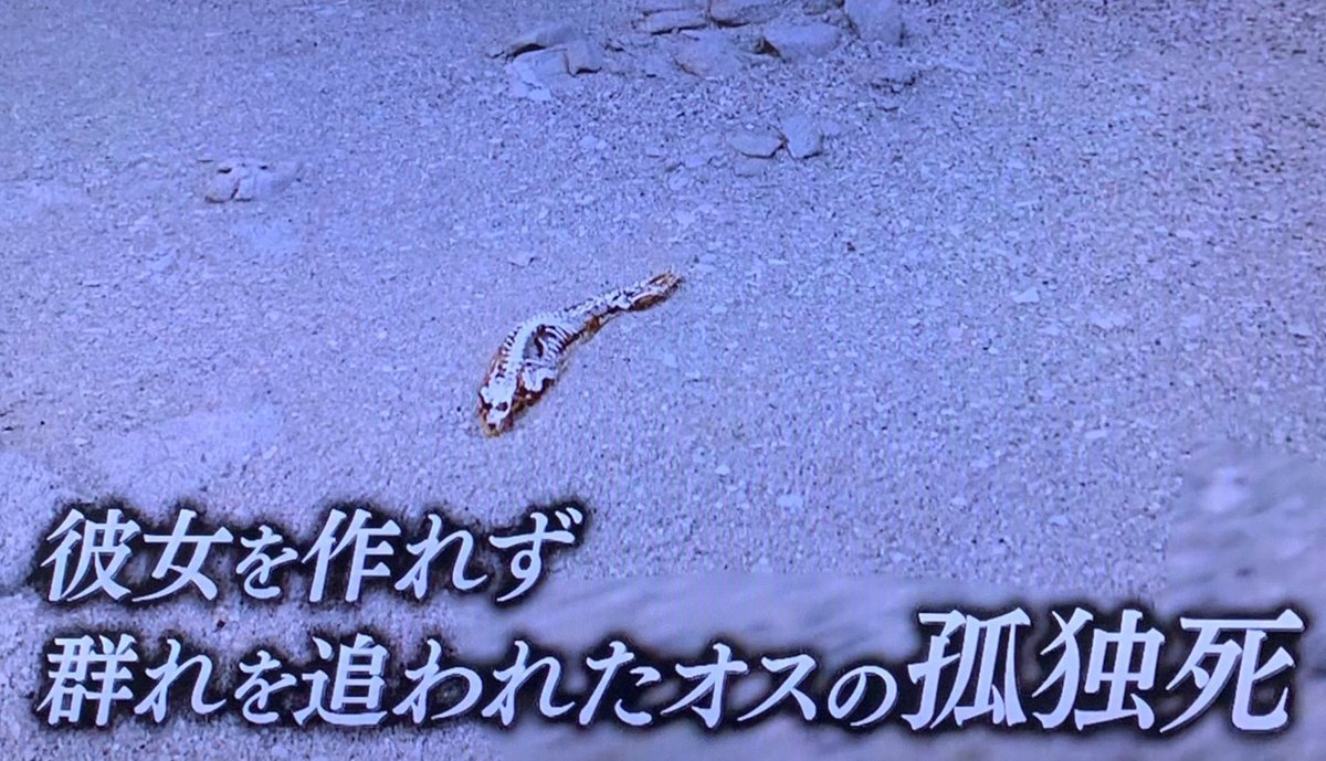 h_aroldier's tweet photo. @XPJN_xx 皆様が無限の可能性に溢れているというのに、なんの可能性もないワシときたら… https://t.co/TIcB7pz8RW