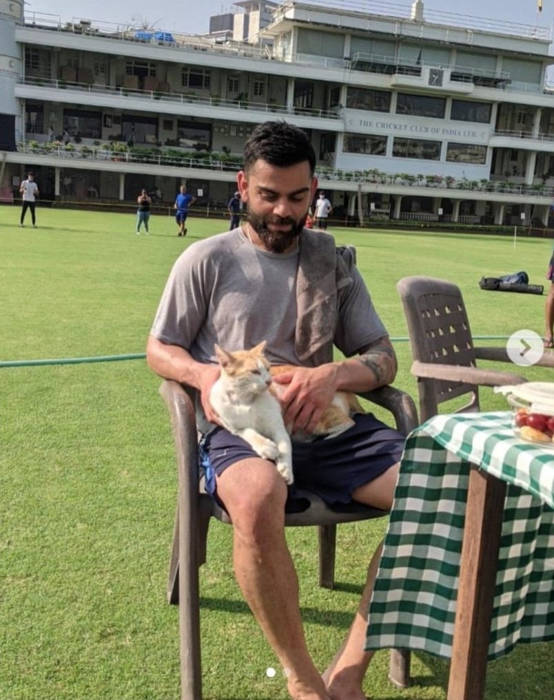 manmarziiyaan's tweet photo. it’s their day 😼 https://t.co/1z7ErNsfzW