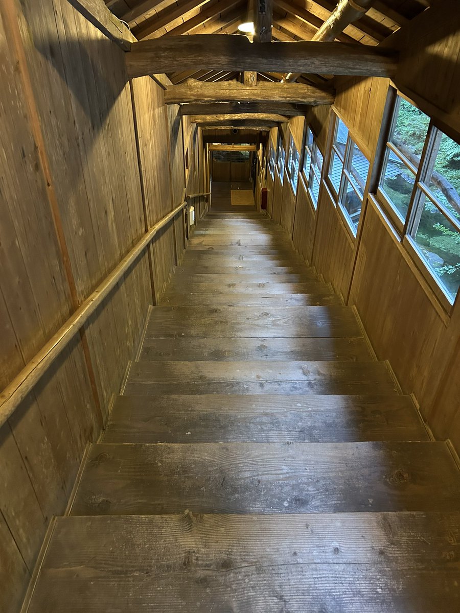 cozydrivecoffee's tweet photo. 秘湯に向かう階段
この川を見ながら温泉に入ります https://t.co/r1nTxNM4mo