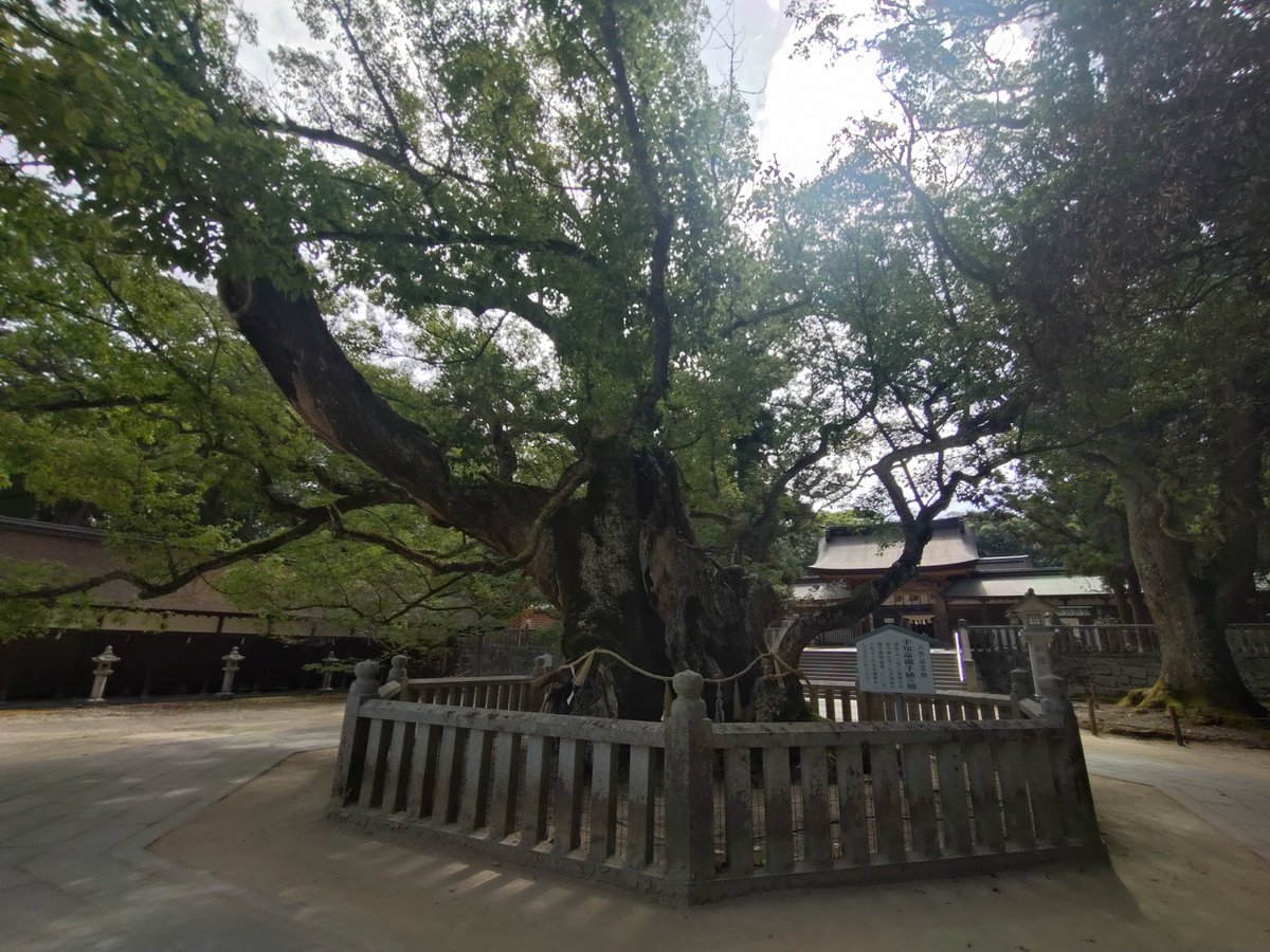 universal_retz's tweet photo. 大山祇神社
昨夜岡山で飲み会から仮眠して愛媛までやってきました。
サウナと相性の良いタオルと前にどこかの記事で見たので道の駅でついでに購入です。 https://t.co/g39YO7Ptn4